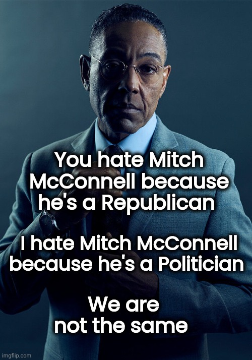 Kicking the Political Football | You hate Mitch McConnell because he's a Republican; I hate Mitch McConnell because he's a Politician; We are not the same | image tagged in gus fring we are not the same,politicians suck,they're the same picture,republicans,democrats,royals | made w/ Imgflip meme maker