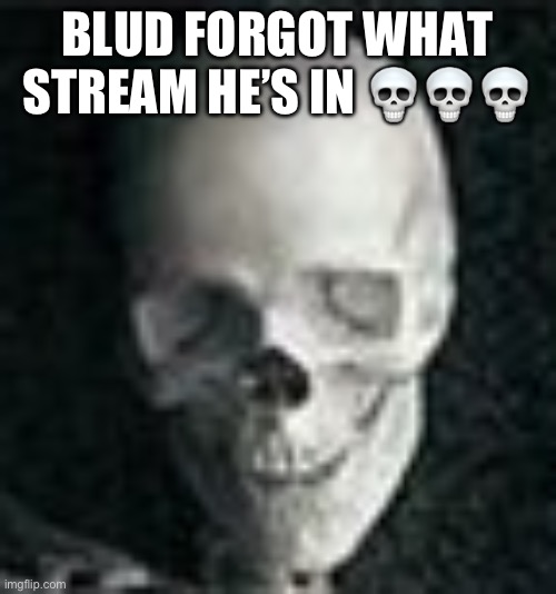 Skull | BLUD FORGOT WHAT STREAM HE’S IN ??? | image tagged in skull | made w/ Imgflip meme maker