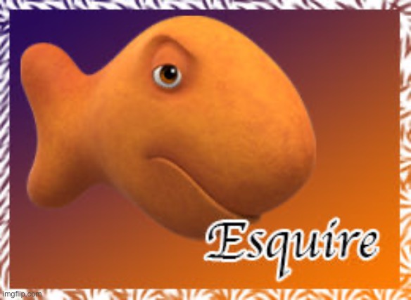 esquire goldenfish | image tagged in esquire goldenfish | made w/ Imgflip meme maker