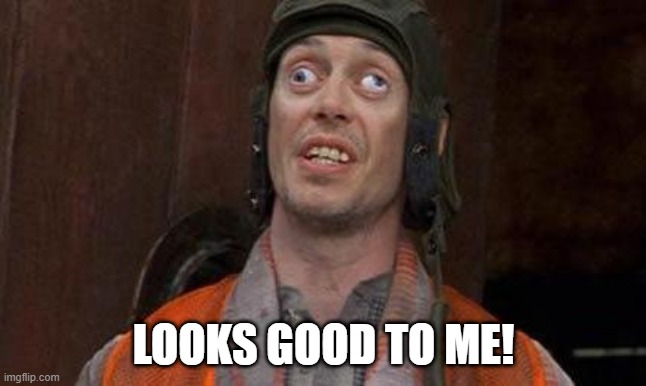 Looks Good To Me | LOOKS GOOD TO ME! | image tagged in looks good to me | made w/ Imgflip meme maker
