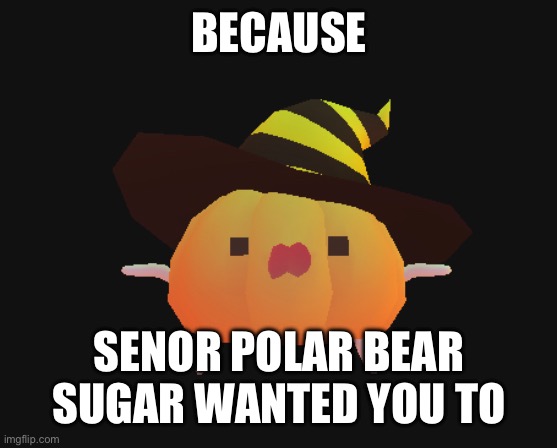 BECAUSE SENOR POLAR BEAR SUGAR WANTED YOU TO | made w/ Imgflip meme maker