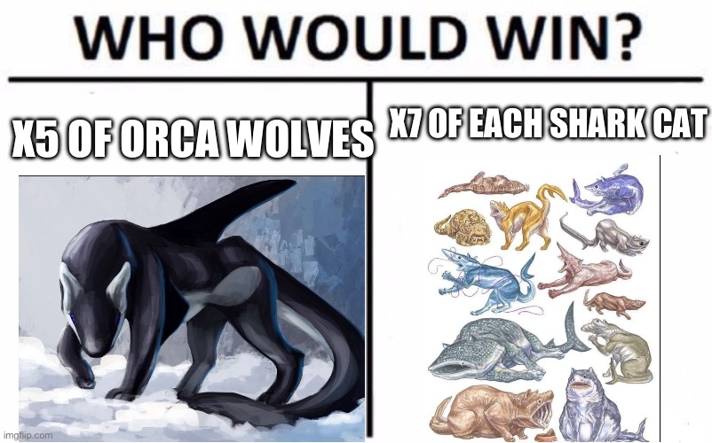 Who Would Win? | X7 OF EACH SHARK CAT; X5 OF ORCA WOLVES | image tagged in memes,who would win | made w/ Imgflip meme maker