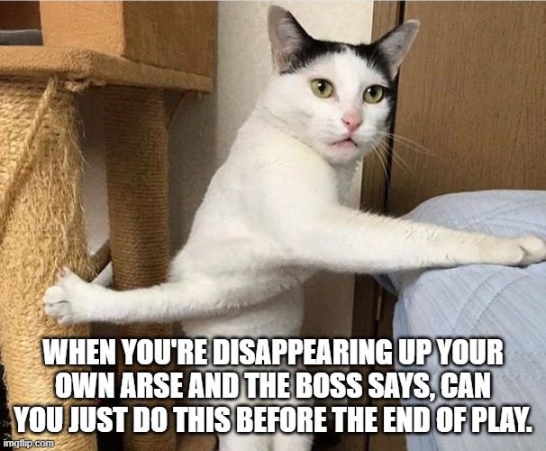 Really boss | WHEN YOU'RE DISAPPEARING UP YOUR OWN ARSE AND THE BOSS SAYS, CAN YOU JUST DO THIS BEFORE THE END OF PLAY. | image tagged in busy cat | made w/ Imgflip meme maker