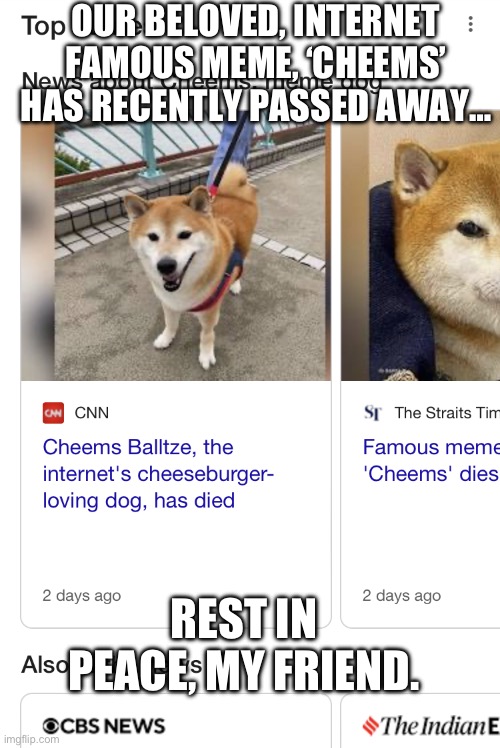 R.I.P | OUR BELOVED, INTERNET FAMOUS MEME, ‘CHEEMS’ HAS RECENTLY PASSED AWAY…; REST IN PEACE, MY FRIEND. | image tagged in cheems death | made w/ Imgflip meme maker