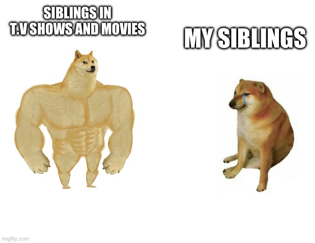 Fr tho | SIBLINGS IN T.V SHOWS AND MOVIES; MY SIBLINGS | image tagged in swole doge vs cheem big version | made w/ Imgflip meme maker