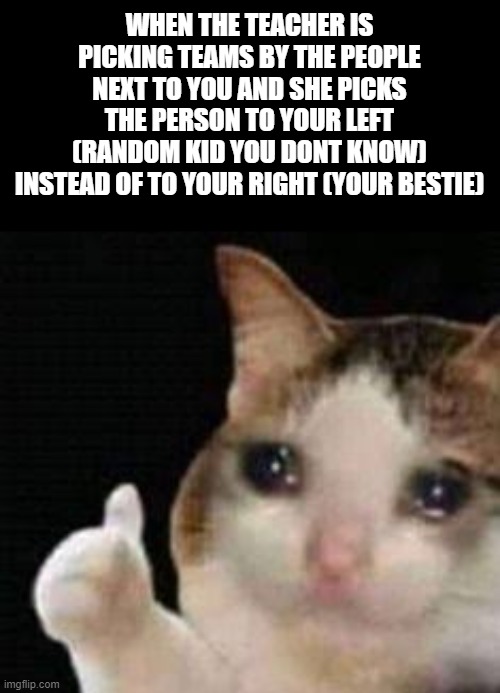 Approved crying cat | WHEN THE TEACHER IS PICKING TEAMS BY THE PEOPLE NEXT TO YOU AND SHE PICKS THE PERSON TO YOUR LEFT (RANDOM KID YOU DONT KNOW) INSTEAD OF TO YOUR RIGHT (YOUR BESTIE) | image tagged in approved crying cat | made w/ Imgflip meme maker