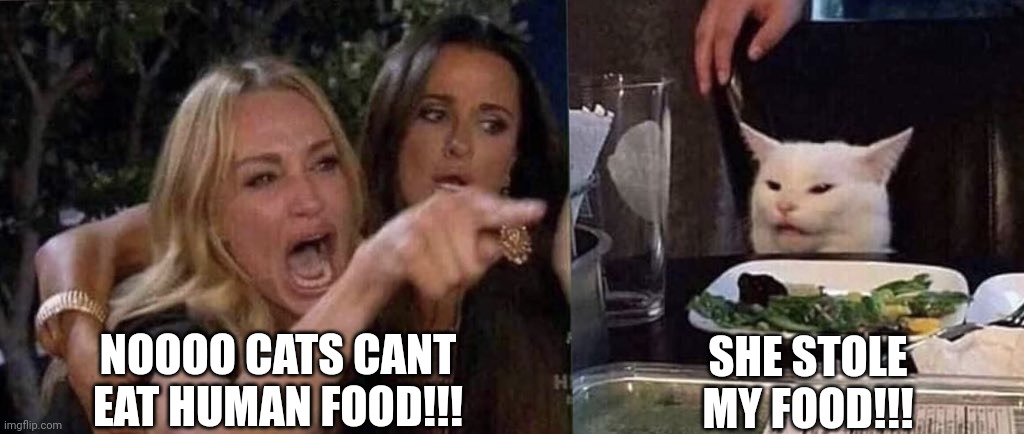 Cats are amazing | NOOOO CATS CANT EAT HUMAN FOOD!!! SHE STOLE MY FOOD!!! | image tagged in woman yelling at cat | made w/ Imgflip meme maker