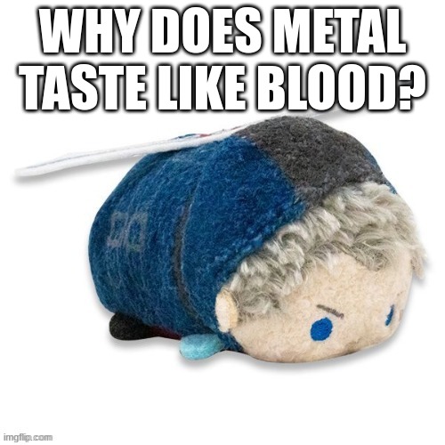 Nero plush 2.0 | WHY DOES METAL TASTE LIKE BLOOD? | image tagged in nero plush 2 0 | made w/ Imgflip meme maker