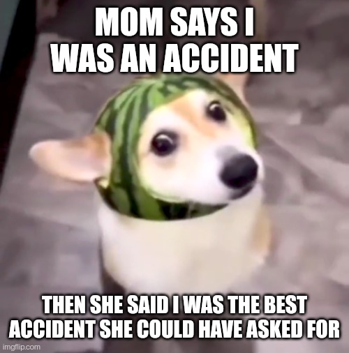 I was an accident | MOM SAYS I WAS AN ACCIDENT; THEN SHE SAID I WAS THE BEST ACCIDENT SHE COULD HAVE ASKED FOR | image tagged in wholesome pete | made w/ Imgflip meme maker