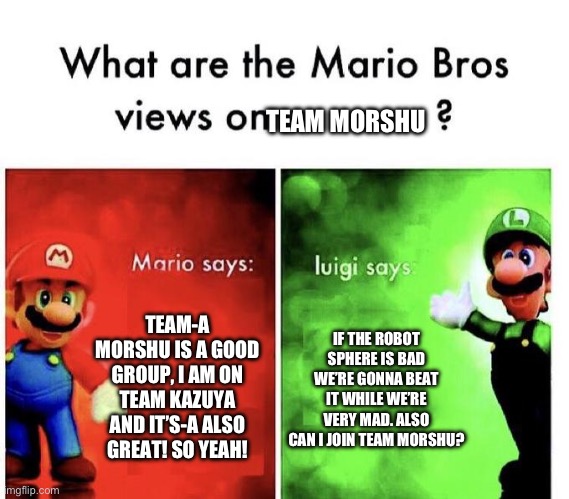 I was originally gonna ask for Mario as well but he’s on team Kazuya so it’s just Luigi. | TEAM MORSHU; TEAM-A MORSHU IS A GOOD GROUP, I AM ON TEAM KAZUYA AND IT’S-A ALSO GREAT! SO YEAH! IF THE ROBOT SPHERE IS BAD WE’RE GONNA BEAT IT WHILE WE’RE VERY MAD. ALSO CAN I JOIN TEAM MORSHU? | image tagged in mario bros views | made w/ Imgflip meme maker