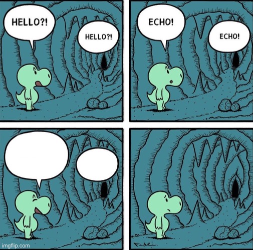 echo | image tagged in echo | made w/ Imgflip meme maker