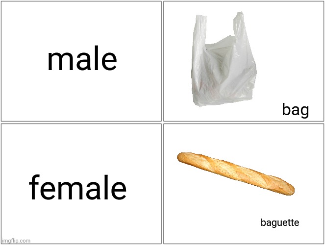 Meme #3,360 | male; bag; female; baguette | image tagged in memes,blank comic panel 2x2,jokes,bag,baguette,wordplay | made w/ Imgflip meme maker
