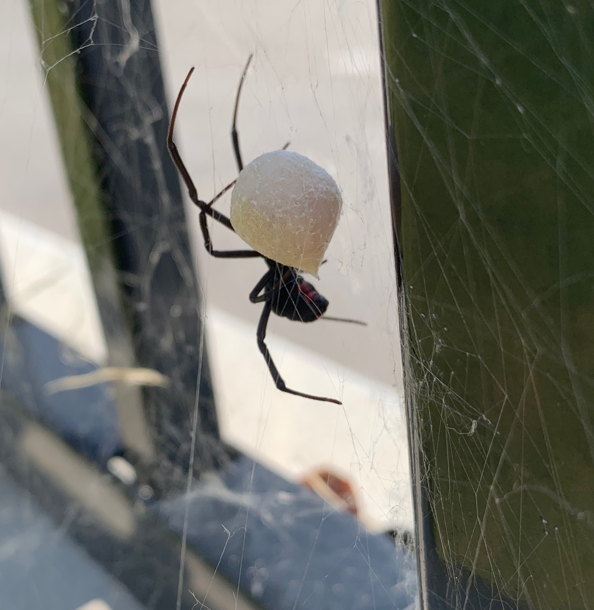 Nice balloon you got there | made w/ Imgflip meme maker