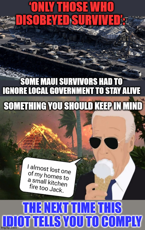 Think before you comply... it could save your life... | ‘ONLY THOSE WHO DISOBEYED SURVIVED’:; SOME MAUI SURVIVORS HAD TO IGNORE LOCAL GOVERNMENT TO STAY ALIVE; SOMETHING YOU SHOULD KEEP IN MIND; THE NEXT TIME THIS IDIOT TELLS YOU TO COMPLY | image tagged in government corruption,dementia,joe biden,maui,fire | made w/ Imgflip meme maker