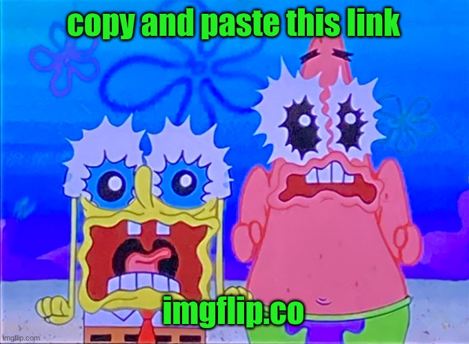 dont actually | copy and paste this link; imgflip.co | image tagged in scare spongboob and patrichard | made w/ Imgflip meme maker