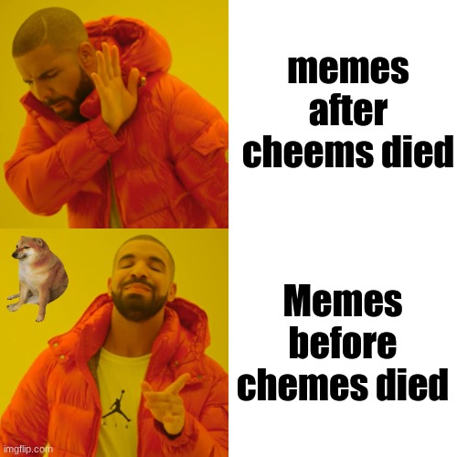 in honor of cheems | memes after cheems died; Memes before chemes died | image tagged in memes,drake hotline bling | made w/ Imgflip meme maker