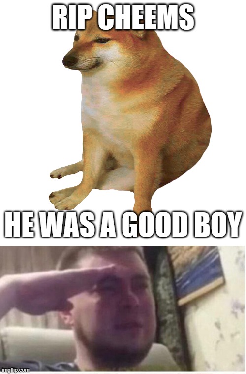 RIP CHEEMS; HE WAS A GOOD BOY | image tagged in cheems,crying salute | made w/ Imgflip meme maker