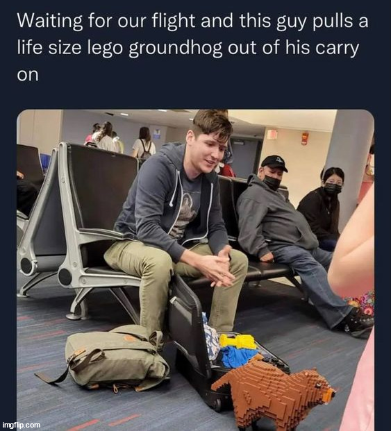 Mf built a whole groundhog | image tagged in memes,funny | made w/ Imgflip meme maker