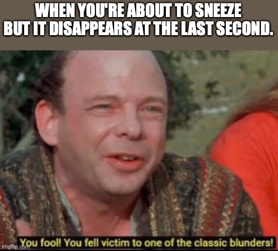 You fool! You fell victim to one of the classic blunders! | WHEN YOU'RE ABOUT TO SNEEZE BUT IT DISAPPEARS AT THE LAST SECOND. | image tagged in you fool you fell victim to one of the classic blunders | made w/ Imgflip meme maker
