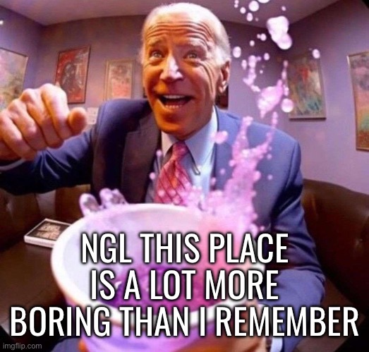 Biden lean | NGL THIS PLACE IS A LOT MORE BORING THAN I REMEMBER | image tagged in biden lean | made w/ Imgflip meme maker