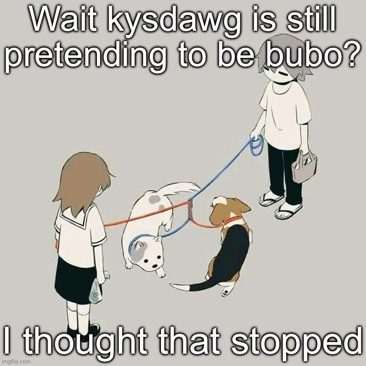 Avogado6 | Wait kysdawg is still pretending to be bubo? I thought that stopped | image tagged in avogado6 | made w/ Imgflip meme maker