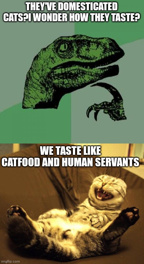 THEY'VE DOMESTICATED CATS?I WONDER HOW THEY TASTE? WE TASTE LIKE CATFOOD AND HUMAN SERVANTS | image tagged in memes,philosoraptor,laughing cat | made w/ Imgflip meme maker