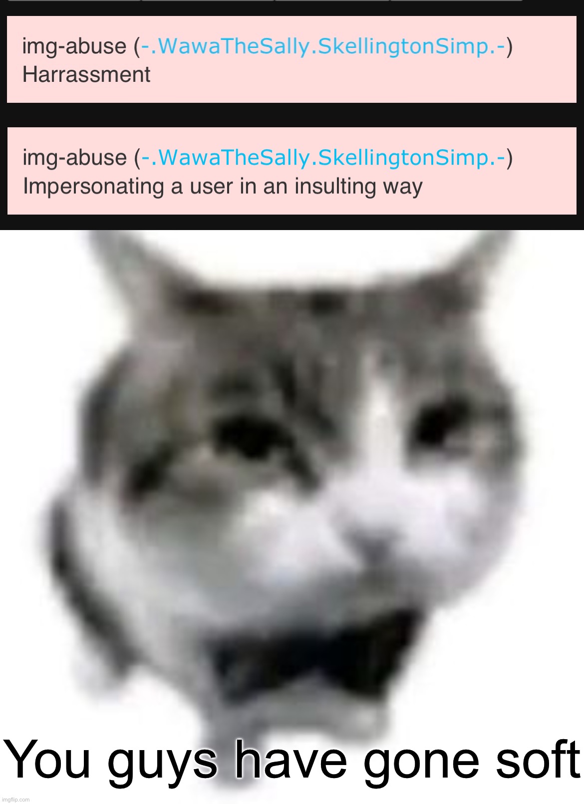You guys have gone soft | image tagged in dripped out cat | made w/ Imgflip meme maker