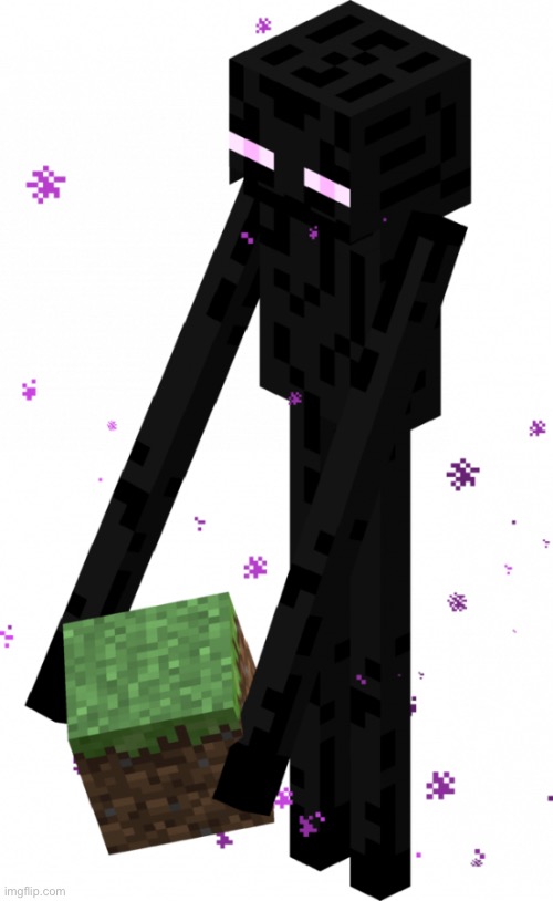 enderman with block | image tagged in enderman with block | made w/ Imgflip meme maker