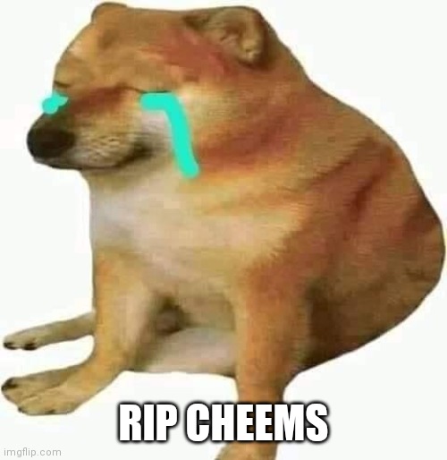 :( | RIP CHEEMS | image tagged in cheems crying | made w/ Imgflip meme maker