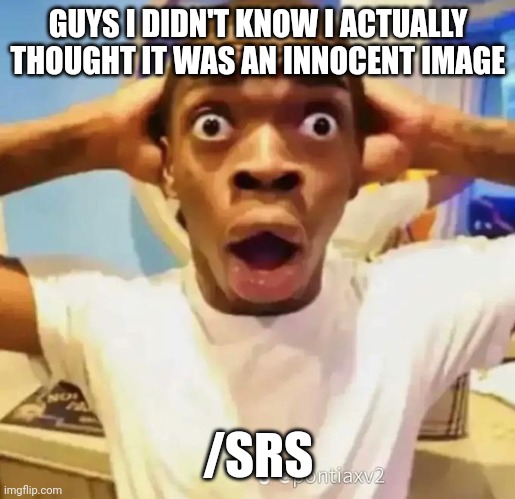 Shocked black guy | GUYS I DIDN'T KNOW I ACTUALLY THOUGHT IT WAS AN INNOCENT IMAGE; /SRS | image tagged in shocked black guy | made w/ Imgflip meme maker