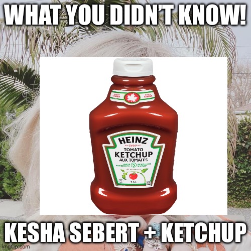 Keshup 2 | WHAT YOU DIDN’T KNOW! KESHA SEBERT + KETCHUP | image tagged in kesha palm tree | made w/ Imgflip meme maker