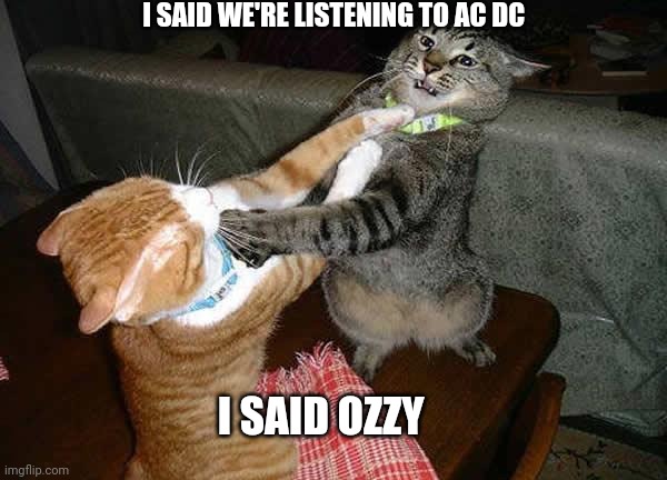 Two cats fighting for real | I SAID WE'RE LISTENING TO AC DC; I SAID OZZY | image tagged in two cats fighting for real | made w/ Imgflip meme maker