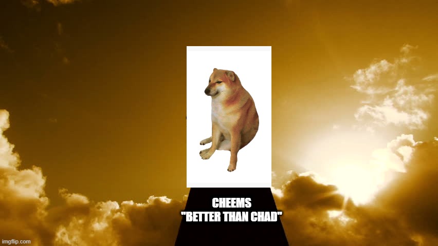 the cheems the doge memorial | CHEEMS
"BETTER THAN CHAD" | image tagged in pedestal,cheems | made w/ Imgflip meme maker