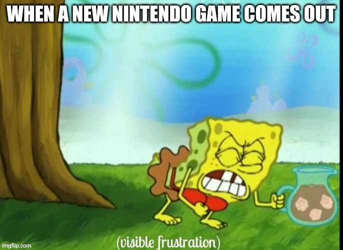 visible frustration | WHEN A NEW NINTENDO GAME COMES OUT | image tagged in visible frustration | made w/ Imgflip meme maker