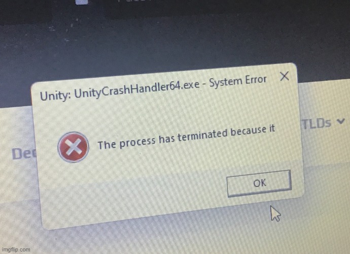 The process has terminated because it | image tagged in the process has terminated because it | made w/ Imgflip meme maker