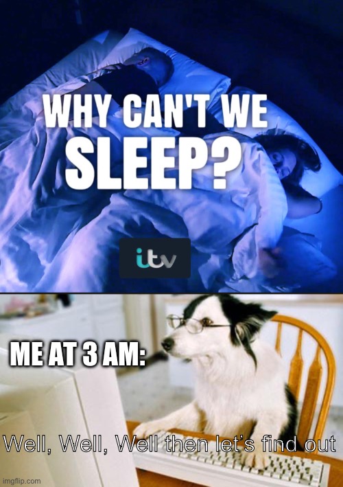 Well, Well, Well then | ME AT 3 AM:; Well, Well, Well then let’s find out | image tagged in dog computer,well well well then lets find out | made w/ Imgflip meme maker