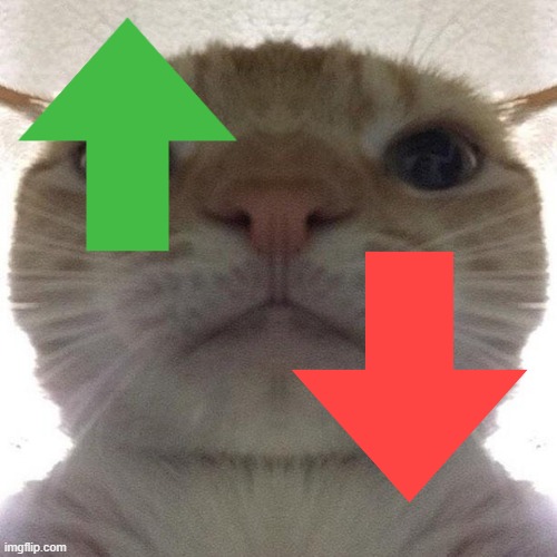 Staring Cat/Gusic | image tagged in staring cat/gusic | made w/ Imgflip meme maker