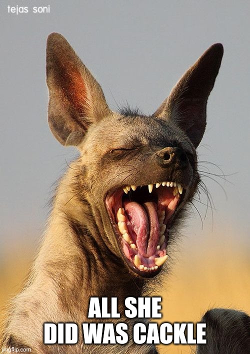 laughing hyena | ALL SHE DID WAS CACKLE | image tagged in laughing hyena | made w/ Imgflip meme maker