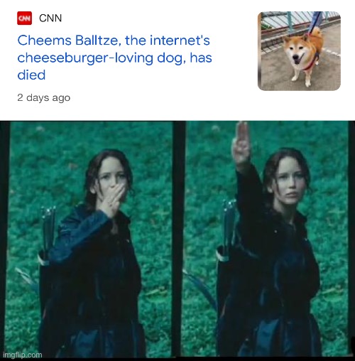 Respect. | image tagged in katniss respect,cheems,f in the chat | made w/ Imgflip meme maker