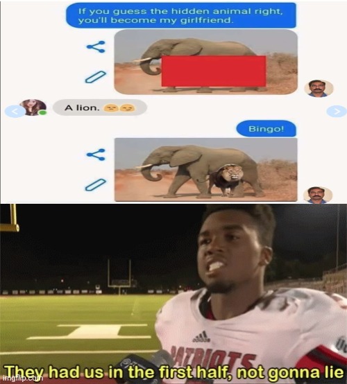 Lion | image tagged in they had us in the first half not gonna lie,animals,lion king,xavier,funny texts,rekt | made w/ Imgflip meme maker