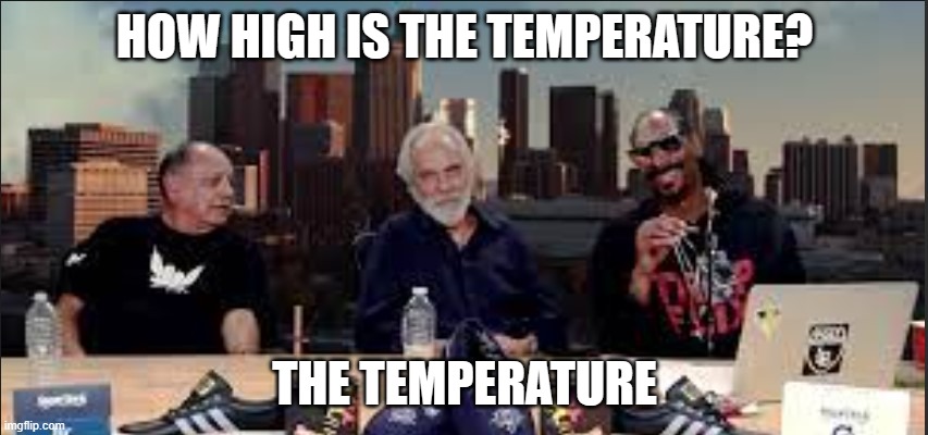 Baby, it's hot outside | HOW HIGH IS THE TEMPERATURE? THE TEMPERATURE | image tagged in snoop,cheech,weed,420,hot,weather | made w/ Imgflip meme maker