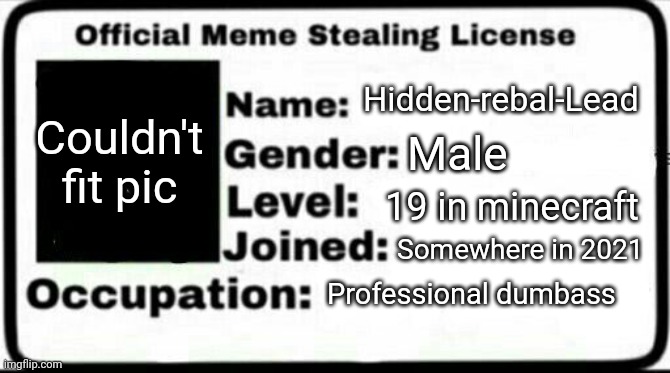 Hehe | Hidden-rebal-Lead; Couldn't fit pic; Male; 19 in minecraft; Somewhere in 2021; Professional dumbass | image tagged in meme stealing license,memes,funny,sammy | made w/ Imgflip meme maker