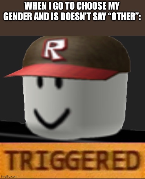 Roblox Triggered | WHEN I GO TO CHOOSE MY GENDER AND IS DOESN’T SAY “OTHER”: | image tagged in roblox triggered | made w/ Imgflip meme maker