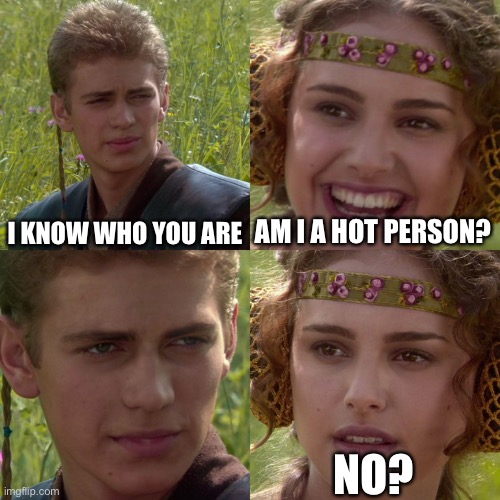 HornyStream when MSMG appears | I KNOW WHO YOU ARE; AM I A HOT PERSON? NO? | image tagged in anakin padme 4 panel | made w/ Imgflip meme maker