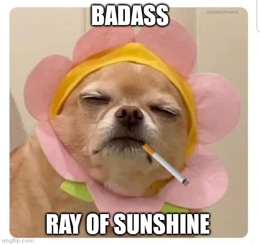Badass ray if sunshine | BADASS; RAY OF SUNSHINE | image tagged in ray of sunshine | made w/ Imgflip meme maker