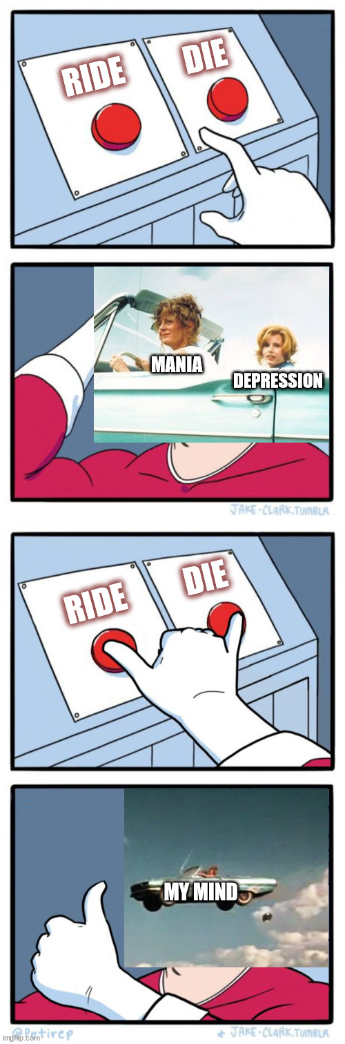 RIDE AND DIE | DIE; RIDE; MANIA; DEPRESSION; DIE; RIDE; MY MIND | image tagged in 2 buttons,both buttons pressed | made w/ Imgflip meme maker