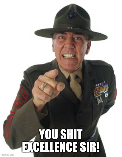 Gunny R. Lee Ermey | YOU SHIT EXCELLENCE SIR! | image tagged in gunny r lee ermey | made w/ Imgflip meme maker