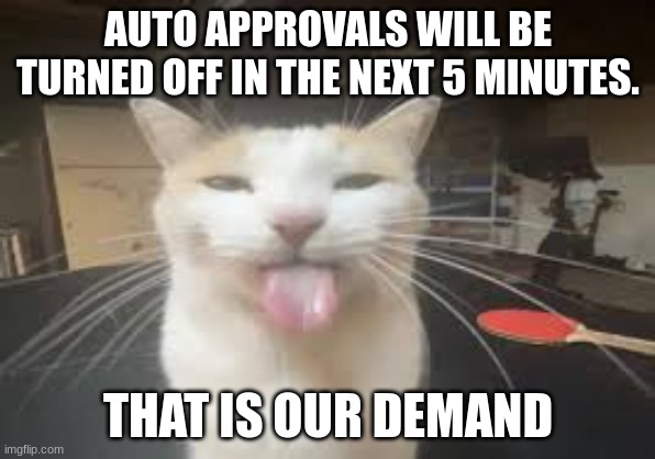 Cat | AUTO APPROVALS WILL BE TURNED OFF IN THE NEXT 5 MINUTES. THAT IS OUR DEMAND | image tagged in cat | made w/ Imgflip meme maker