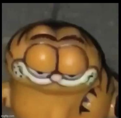 Cursed garfield | image tagged in cursed garfield | made w/ Imgflip meme maker