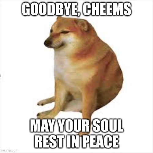 Goodbye, Cheems | GOODBYE, CHEEMS; MAY YOUR SOUL REST IN PEACE | image tagged in cheems,f in the chat | made w/ Imgflip meme maker
